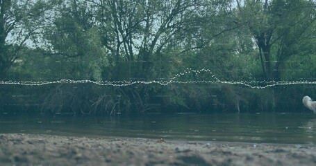 Flowing shallow river and treeline framing sandy riverbank, with dotted waveform and dog tail