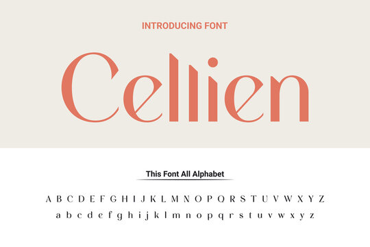 Luxury lowercase display font typeface to make your brand looks premium. Vector Fonts. Alphabet of sans serif font with modern typography. bold and tall vector font.