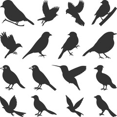 Fototapeta premium Set of Black Bird Silhouettes. Vector elements for svg design, Collection of Bird Flying Silhouettes, Vector Illustration with a white background.