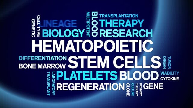 Hematopoietic Stem Cells animated word cloud-text design animation tag kinetic typography seamless loop.