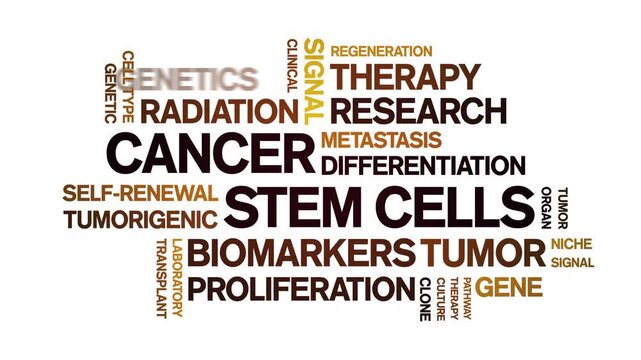 Cancer Stem Cells animated word cloud-text design animation tag kinetic typography seamless loop.