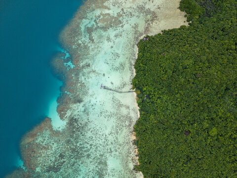 Aerial view of the forest's edge meeting the vibrant turquoise sea, revealing a coral reef at Turtle Conservation, Karimunjawa, Central Java, Indonesia.