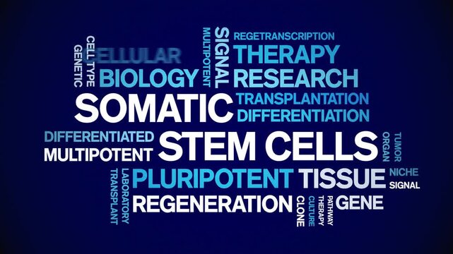 Somatic Stem Cells animated word cloud-text design animation tag kinetic typography seamless loop.