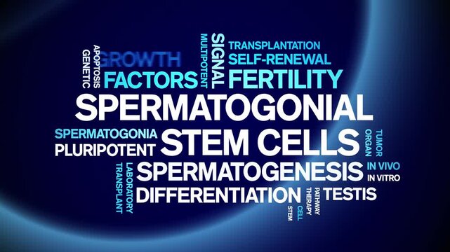 Spermatogonial Stem Cells animated word cloud-gross domestic product animation tag kinetic typography seamless loop.