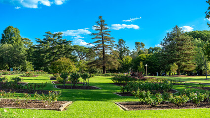 Garden beds, lawns and mature trees in Wagga Wagga Botanic Gardens, New South Wales, Australia. Landscaped public garden with blue sky and scattered clouds.