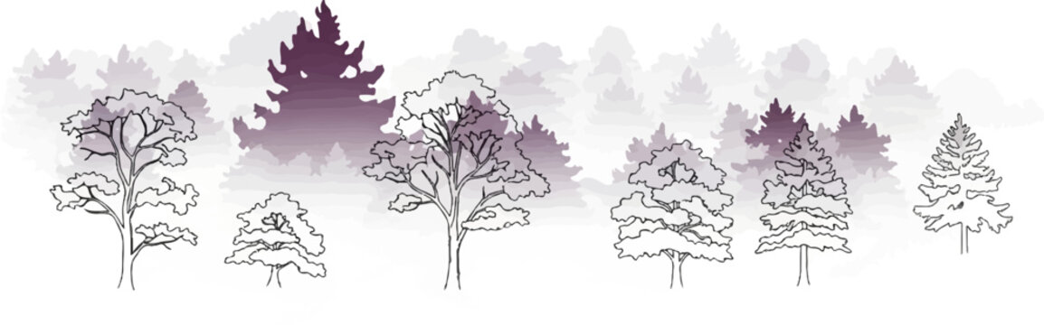 A sketch of trees with purple watercolor background, forest theme
