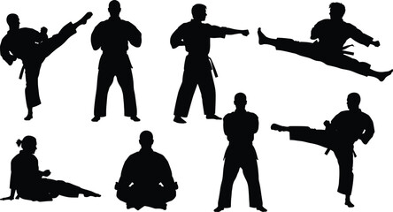 Martial arts karate silhouettes set, fighters performing kicks punches stances meditation, combat training vector illustration isolated on white background © E-Designs