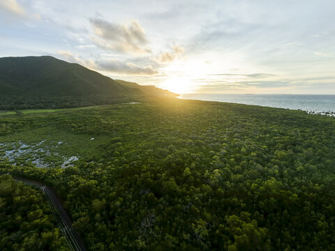 Aerial view of a verdant mangrove forest meeting the turquoise sea under a sky ablaze with the setting sun, Karimunjawa, Central Java, Indonesia.