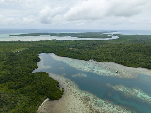 Aerial view of the tranquil mangrove forest meeting the clear turquoise waters under a vast, cloudy sky, Karimunjawa, Central Java, Indonesia.
