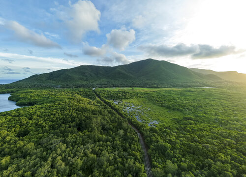 Aerial view of the lush Karimunjawa Mangrove Forest meeting the sea under a vast sky, a tranquil landscape, Karimunjawa, Central Java, Indonesia.