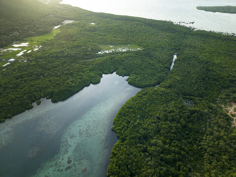 Aerial view of the tranquil Karimunjawa Mangrove Forest, where emerald trees meet the turquoise waters, creating a stunning contrast, Karimunjawa, Central Java, Indonesia.