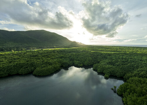 Aerial view of lush mangrove forest meeting the tranquil waters under a bright sky near a mountain, Karimunjawa, Central Java, Indonesia.