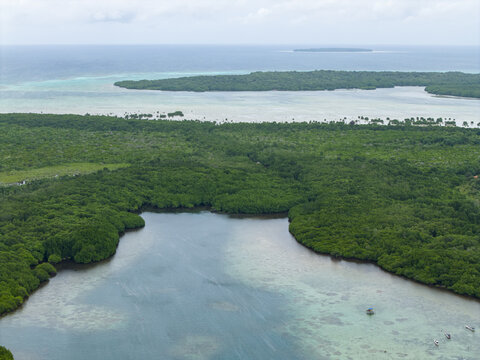 Aerial view of the lush green mangrove forest meeting the tranquil turquoise sea, creating a breathtaking contrast of nature's beauty, Karimunjawa, Central Java, Indonesia.