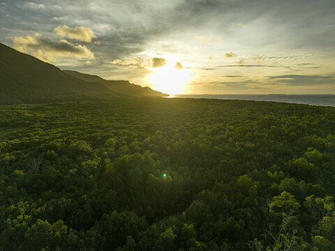 Aerial view of a vast green canopy of mangrove forest stretches to the coast where the sun sets behind the mountains, Karimunjawa, Central Java, Indonesia.