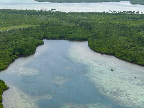 Aerial view of a tranquil inlet embraced by a vivid green mangrove forest, its waters reflecting the sky's soft hues, Karimunjawa, Central Java, Indonesia.