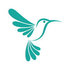 Obraz premium Graceful hummingbird in mid-flight with spread wings and tail feathers