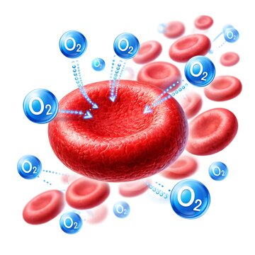 Red Blood Cells Carrying Oxygen Molecules Illustration - 3D Render of Erythrocytes and O2 Atoms in Bloodstream