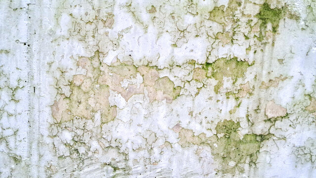 Old cracked wall with peeling white paint and green algae stains caused by moisture, weathered damp plaster texture background.