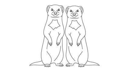 Meerkat Duo: Two alert meerkats stand side-by-side, their watchful eyes and upright posture showcasing their natural vigilance and cooperative spirit. © AJM