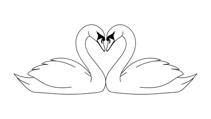 Love's Embrace: Two swans form a heart with their necks, symbolizing a romantic bond. Captured with elegant simplicity. © hafs121
