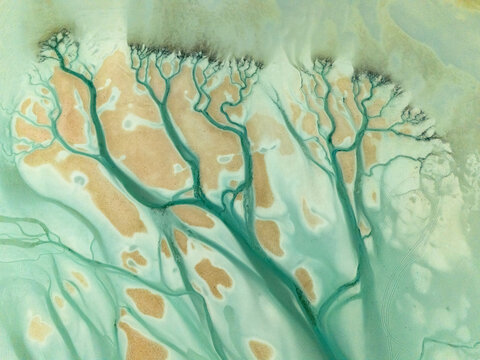 Aerial view of turquoise streams carving through pale sands create a mesmerizing, tree-like pattern from above, Al Nouf, Abu Dhabi, United Arab Emirates.