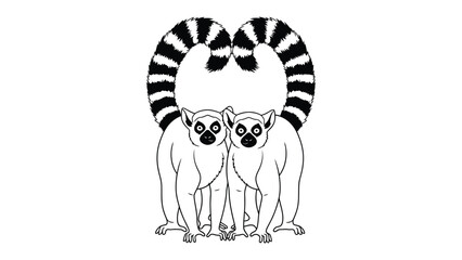 Two Ring-Tailed Lemurs' Affectionate Embrace: Two ring-tailed lemurs huddle together, their striped tails forming a heart, against a minimalist background, demonstrating an intimate bond of kinship.  © AJM