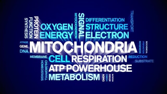 Mitochondria animated word cloud-gross domestic product animation tag kinetic typography seamless loop.