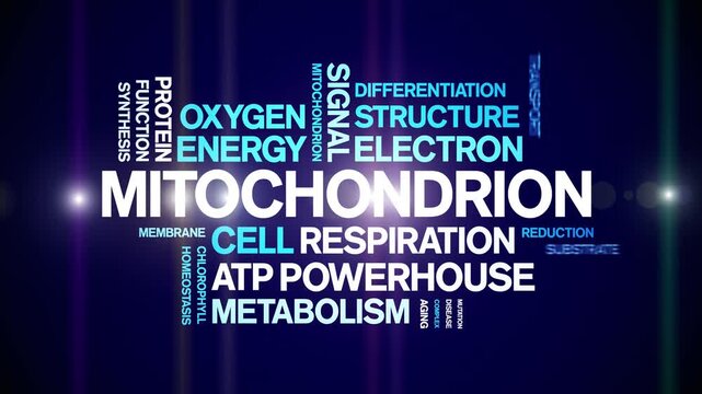 Mitochondrion animated word cloud-gross domestic product animation tag kinetic typography seamless loop.
