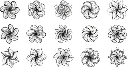 Black and white floral flowers line © Graphic Shops