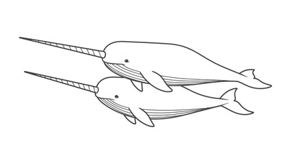 Monochrome Narwhals: A pair of narwhals, creatures of the deep, swim gracefully in this monochromatic illustration, showcasing the elegance of marine life and their distinctive spiral tusks. © mstmahmuda
