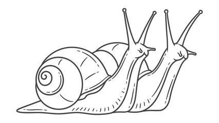 Snails in Motion: An intricate line drawing captures the essence of snails gracefully navigating their environment. © AJM