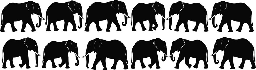 Fototapeta premium Vector collection of twelve african elephant silhouettes in various walking and standing poses isolated on white background for wildlife safari design