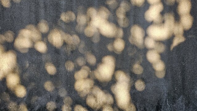 Beautiful tree leaves shape gentle sunlight, shadows glowing on concrete rock stone bricks wall texture in the afternoon background&mdash;dappled light flickering in warm and relaxing atmosphere, peace zen 