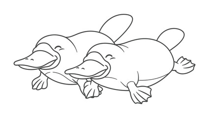 Obraz premium Platypus Duo's Delight: Two delightful platypuses, each with its unique bill and webbed feet, float together. They're joyfully enjoying their aquatic playground.