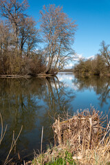 Spring Awakening on the Old Rhine near Kappel-Grafenhausen © magann