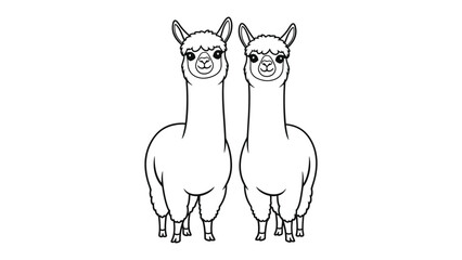 Fototapeta premium Elegant Alpaca Duo: A serene pair of alpacas stand facing forward, embodying simplicity and charm in this black-and-white image, focusing on their unique features and gentle nature.