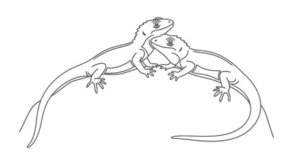 Obraz premium Love of the reptile couple:Two lizard illustrations, lovingly entwined in a tender embrace, showcasing delicate lines and intricate details in black and white.
