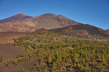 Fototapeta premium Pico del Teide and Pico Viejo volcanic peaks