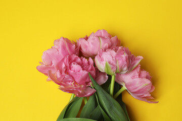 Obraz premium Bouquet of tulips on a colored background, place for text 