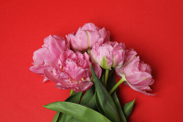 Obraz premium Bouquet of tulips on a colored background, place for text 