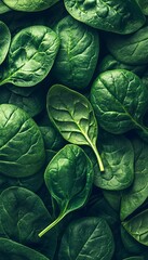 Obraz premium Vibrant Texture of Fresh Organic Spinach Leaves, Healthy Green Superfood for Nutritious Recipes