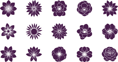 Purple flower with white highlights flowers floral patterns © Graphic Shops