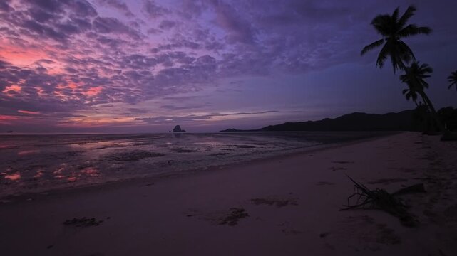 Diagonal shoreline with palm silhouette under dramatic dusk sky in Thailand