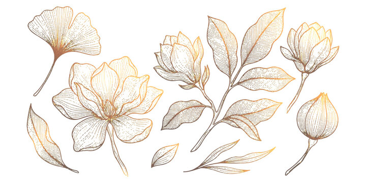 A collection of hand-drawn golden magnolia flowers and ginkgo leaves on a white background