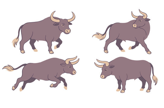 Bull Vector Set with Walking and Running Poses