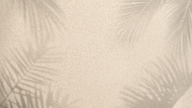 Tropical shadows on sandy texture desktop wallpaper