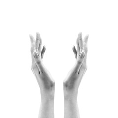 Fototapeta premium Black and white halftone illustration of two elegant female hands raised upward. Minimal aesthetic gesture isolated on white background in vintage engraving style.