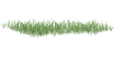 A small patch of green grass isolated on a white background for design and digital projects © Victor creative 