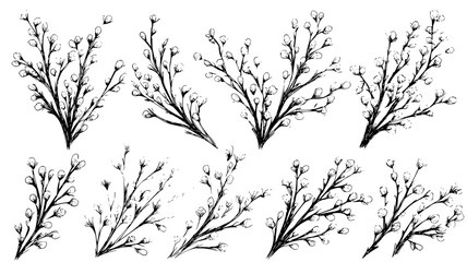 Fototapeta premium Edge decoration bundle showcasing tiny vines and buds, vector art set