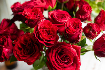 Obraz premium Vibrant red roses bouquet beauty.